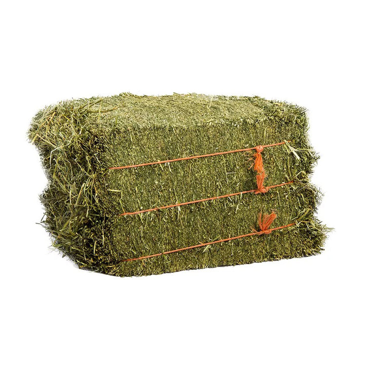 Ready to Supply Alfalfa Hay Bays & Pellets (Dehydrated Cubes)-60-65% Protein 25kg Bags Brazil Origin for Horse Pig Dog Fish Feed