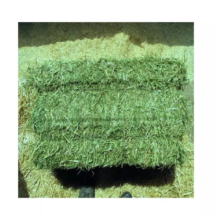 Ready to Supply Alfalfa Hay Bays & Pellets (Dehydrated Cubes)-60-65% Protein 25kg Bags Brazil Origin for Horse Pig Dog Fish Feed