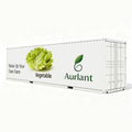 Hydroponic Leafy Green Container System - Vertical Farming for Lettuce, Spinach, Kale, and More