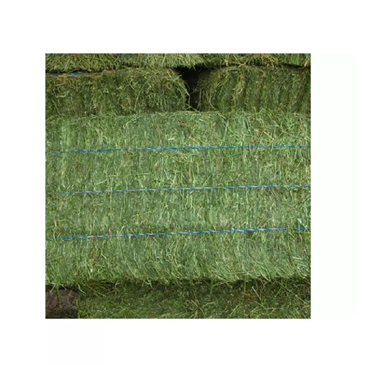 Ready to Supply Alfalfa Hay Bays & Pellets (Dehydrated Cubes)-60-65% Protein 25kg Bags Brazil Origin for Horse Pig Dog Fish Feed