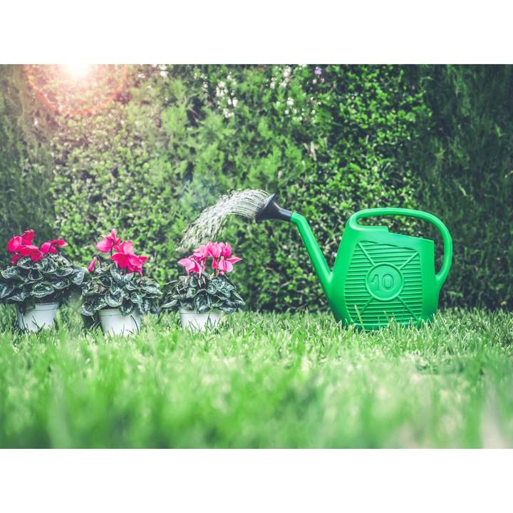 Ecoplast Plastic Watering Can 10L 800g for Gardening Plants and Flowers Easy to Use Durable Deformable