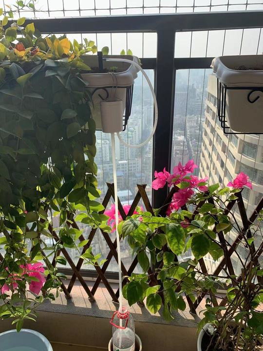16-head Drip LCD Smart Mode Home Gardening Office Indoor Potted Plant Automatic Timed Water Flower USB Powered Irrigation System