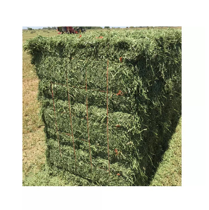 Ready to Supply Alfalfa Hay Bays & Pellets (Dehydrated Cubes)-60-65% Protein 25kg Bags Brazil Origin for Horse Pig Dog Fish Feed