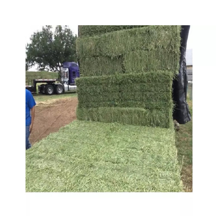 Ready to Supply Alfalfa Hay Bays & Pellets (Dehydrated Cubes)-60-65% Protein 25kg Bags Brazil Origin for Horse Pig Dog Fish Feed