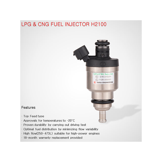 HANA Hot Sale Custom H2100 Conversion Kit ISO Certified LPG/CNG Diesel Fuel Nozzle Injector DC 12V/24V Truck Engine Parts