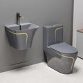 Ceramic Siphonic Elongated Toilet Set Floor Mounted Bathroom WC With Round Bowl for Home Hotel Colorful Modern Black One-Piece