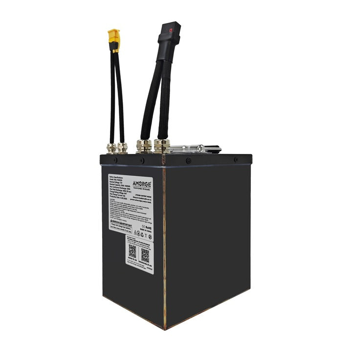 AMORGE 20S5P 72V 25AH 220A Battery Pack for Tuttio Soleil01 Electric Mini Bike