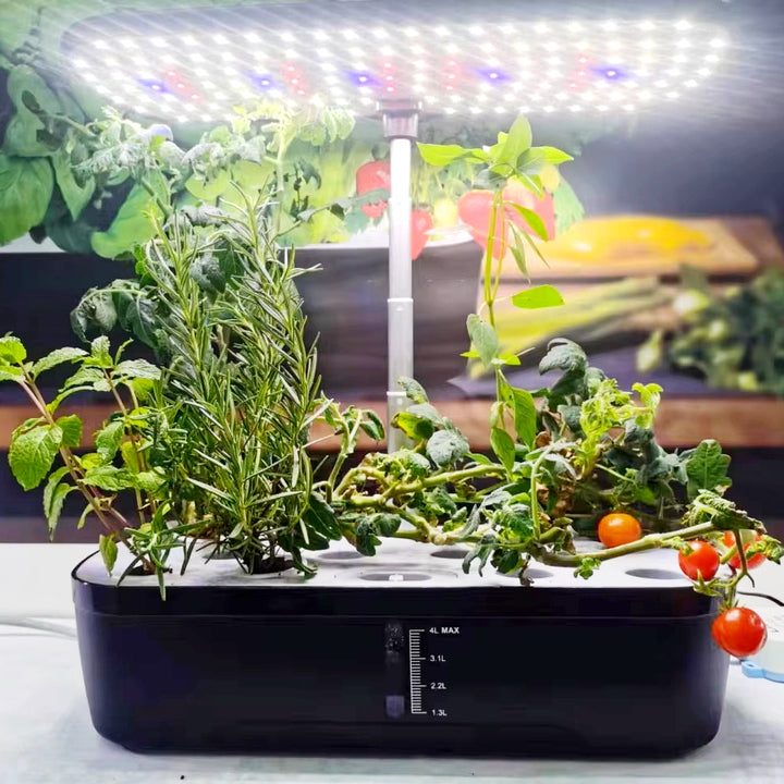 Professional Microgreen Growing System with T8 LED Grow Lights for Bud Boosting and Cultivation
