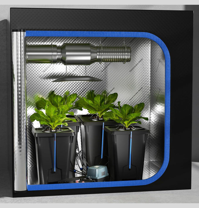 Food-Grade Plastic Hydroponic Buckets BPA-Free Dutch Barrels for Organic Tomato Pepper Cultivation