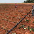 High Quality PE Material Roll-packed Drip Tape with Flat Emitter for 1 Hectare Agricultural Drip Irrigation System
