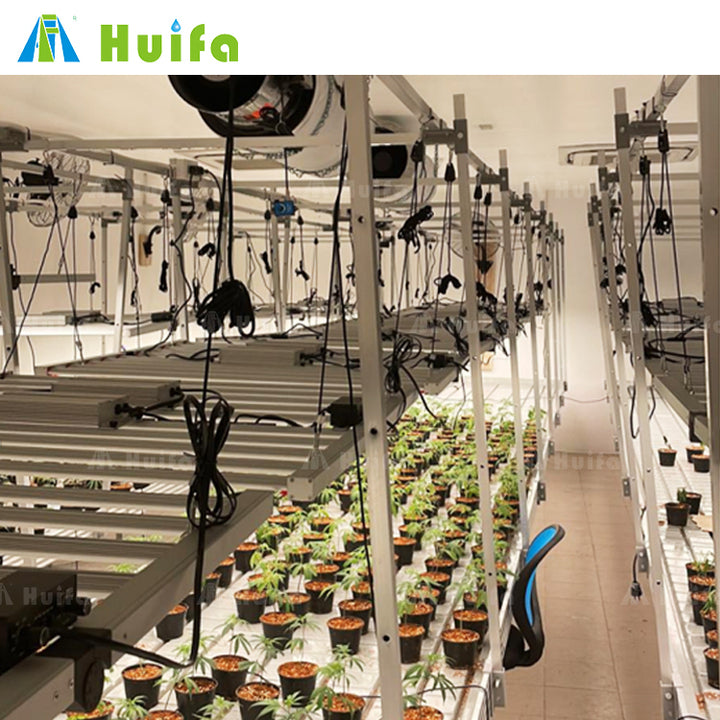 Total Turnkey Solutions Vertical Farms Indoor Grow Covering Led Lighting Growing Systems Irrigation Fertigation Climate Control