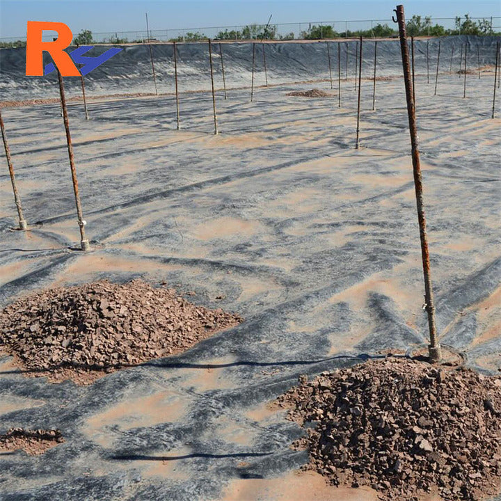 Geomembrane Sheet Price Dam Lining for Palm Oil Digester Biogas HDPE Geo Membrane Anaerobic Lagoon Biogas Plant Animal Waste