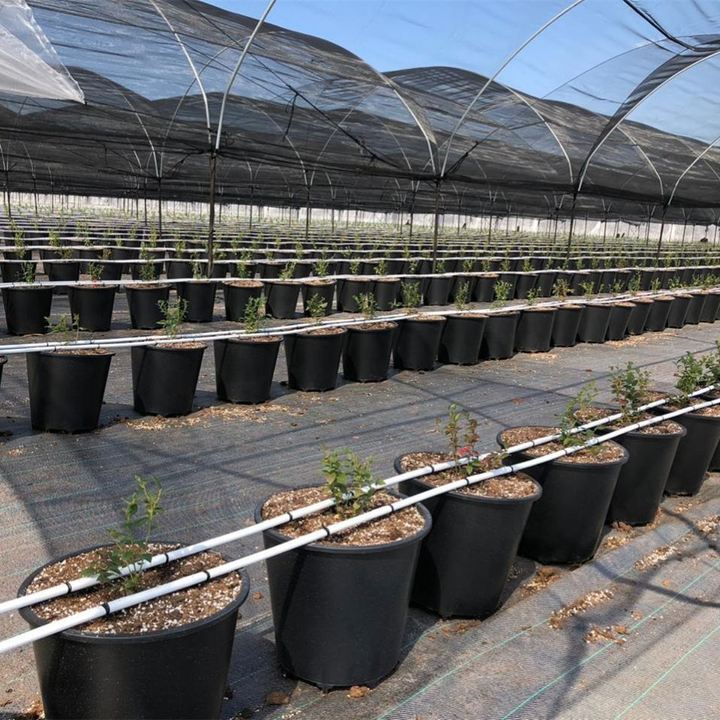 25L 30L 40L Substrate Bucket Blueberry Grow Pots