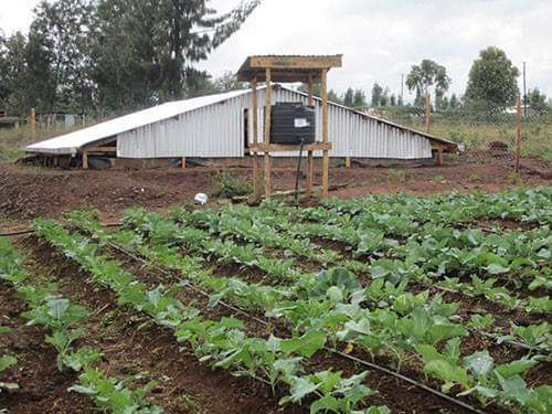 1 Hectare Irrigation Kit Agricultural Drip Tape System Farm Drip Irrigation 22 Hectares