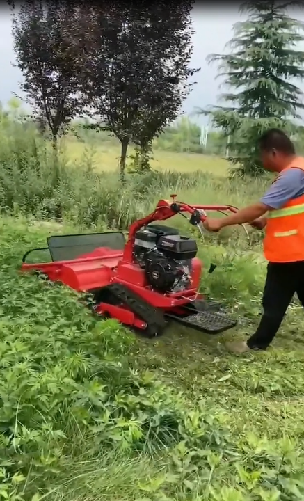 Farming Laser Weeder Agriculture Machinery Equipment Farm Mini Weeding