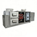 50kW Methanol Natural Gas Biogas Oilfield Gas High-Power Gas Generator Set Electric Start Water Cooling 380V Container-Type