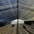 Factory Supplier HDPE Plastic +UV Treated Agriculture Farming Roof Garden Outdoor Green Fence Sun Protection Shade Net
