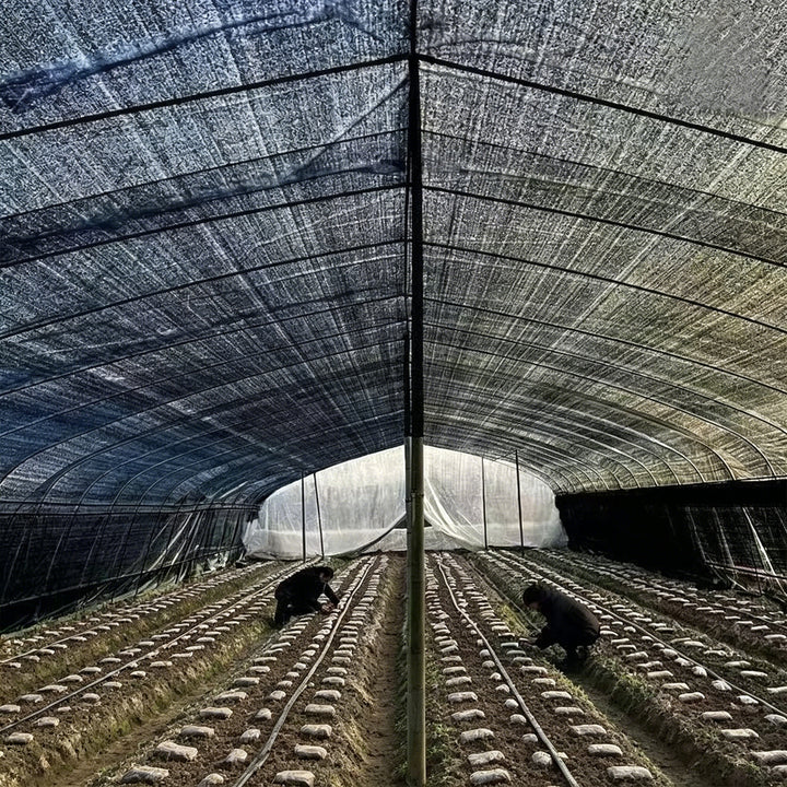Factory Supplier HDPE Plastic +UV Treated Agriculture Farming Roof Garden Outdoor Green Fence Sun Protection Shade Net