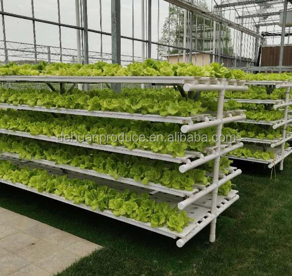 Economical NFT Hydroponic Channel Vertical Growing System
