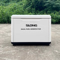 8kw Natural Gas Dual Fuel Propane Gas Generator Electric Start LPG Generator