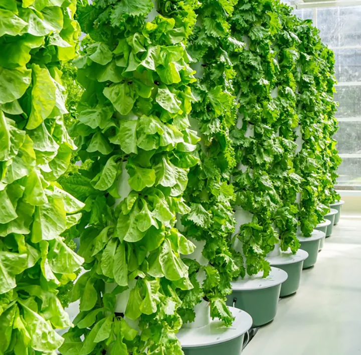 Vegetables Flowers Vertical Farming Hydroponic Tower Aeroponics Tower with Grow Light Growing Hydroponics System for Plants