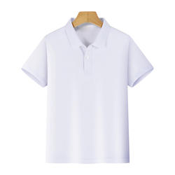 Wholesale Boys T-shirts & Polo Shirts Blank Kids School Uniform Cotton Children Polo Shirt
