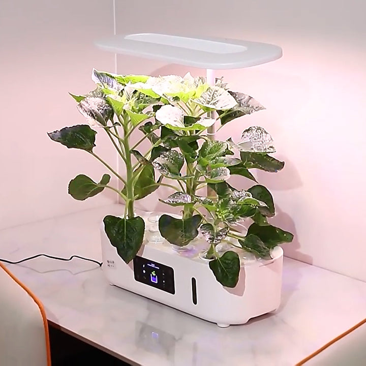 Professional Seed Sprouter Kit Smart Hydroponic Planting Led Grow Light System for Microgreens & Leafy Greens
