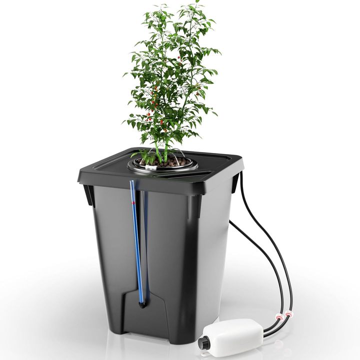 Durable Plastic Hydroponic Barrels Dutch Bucket System for Soilless Tomato and Cucumber Cultivation