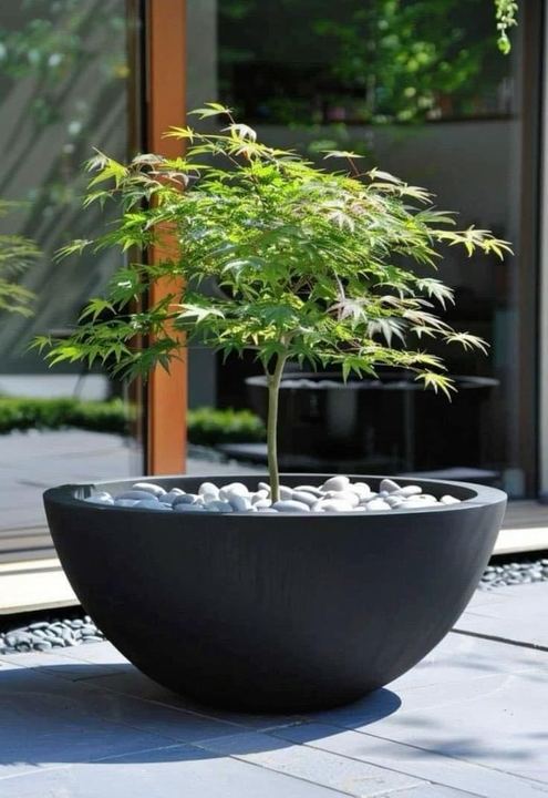 Outdoor Leisure Furniture-Creative Design Tree Planter and Flowerpot for Hotels and Shopping Malls for Gardens