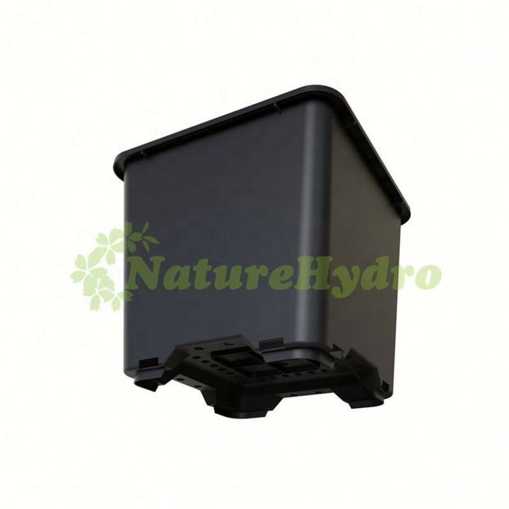 Various Square Injection Molded Plant Pots Blueberry Containers for Collection