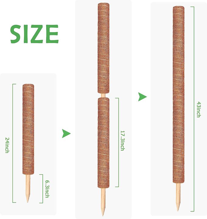 24 Inch Plant Stakes Indoor Garden Tomato Plant Climbing Growth Sticks Support for Creeper Plants Natural Moss Pole