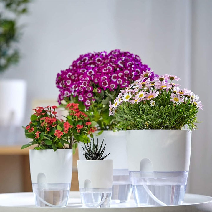 Self Watering Plant Pot Garden Automatic Water Self-Watering Planter Small the Lazy Self Watering Plastic Flower Pot