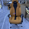 Adjustable Headrest Armrest RGB Gaming Gear Chair Luxury Chair Office Scorpion Gaming Chairs for BMW