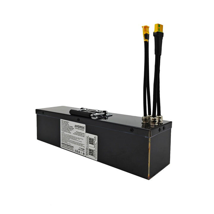 AMORGE 16S4P 60V 16AH 80A Lithium Battery Pack With Metal Box for Crazy Cart