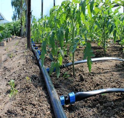 16mm Plastic Tape Line with Flat Dripper for Vegetable Pipe Farm Garden System Drip Irrigation Hose Other Watering & Irrigation
