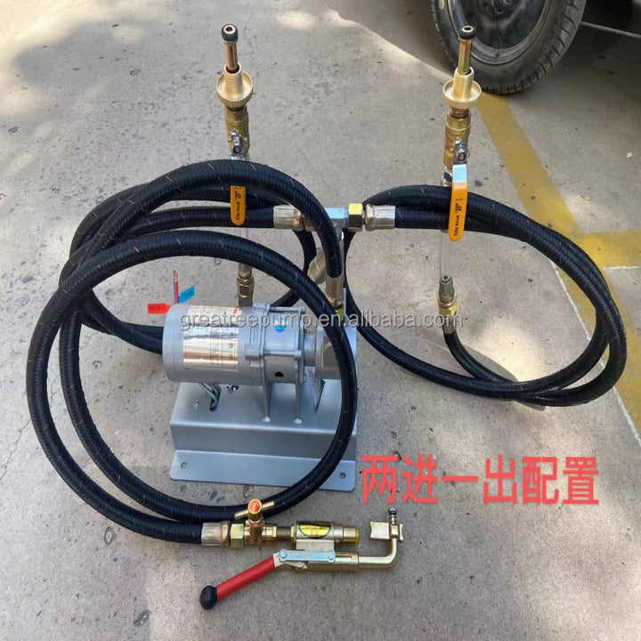 China 12v DC LPG Gas Transfer Pump Cylinder to Cylinder Portable Mini Lpg Gas Filling Transfer Pump 12v Dc for Cars