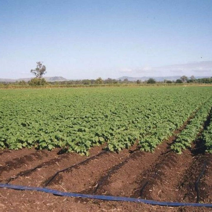 High Quality Full Set Low Cost Farm Drip Irrigation System for Sale