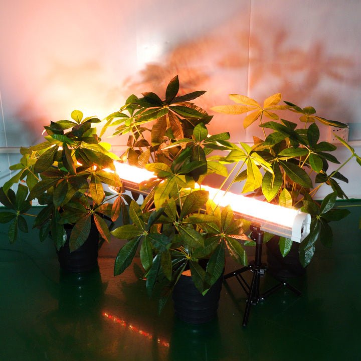 Foldable Under Canopy LED Grow Lights 120W Full Spectrum Foldable Design for Greenhouse Indoor Cultivation