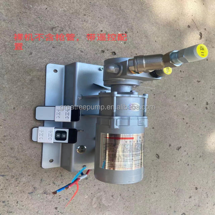 China 12v DC LPG Gas Transfer Pump Cylinder to Cylinder Portable Mini Lpg Gas Filling Transfer Pump 12v Dc for Cars