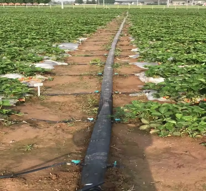 1Ha 2Ha 5Ha 10Ha Drip Irrigation System Irrigation Design Complete Kit Farm Automatic Drip Irrigation Systems