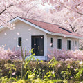 PTH Manufacturer Container House Upgrading High Snow Load Prefabricated Houses of 3 Rooms