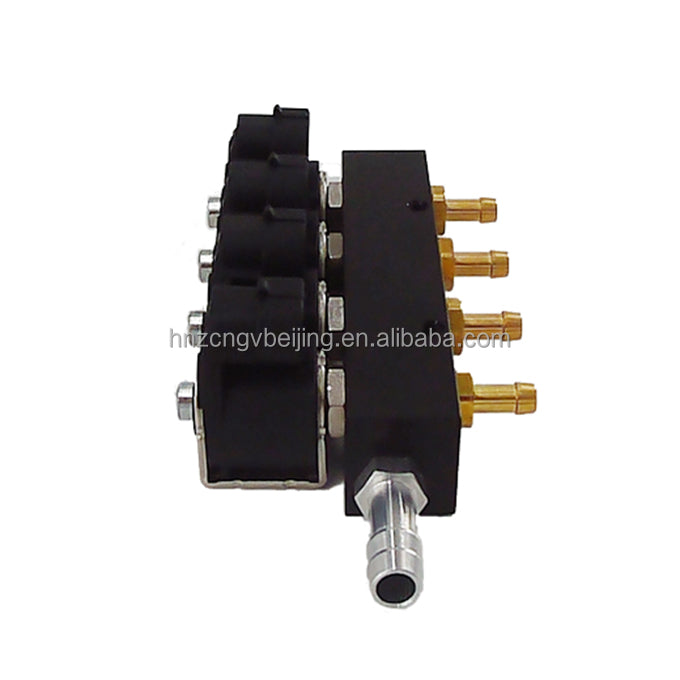 NGV HN48 Conversion Kit for Trucks & Hybrid Vehicles with Gas Leakage Alarm CNG & Petrol System ONE YEAR Warranty
