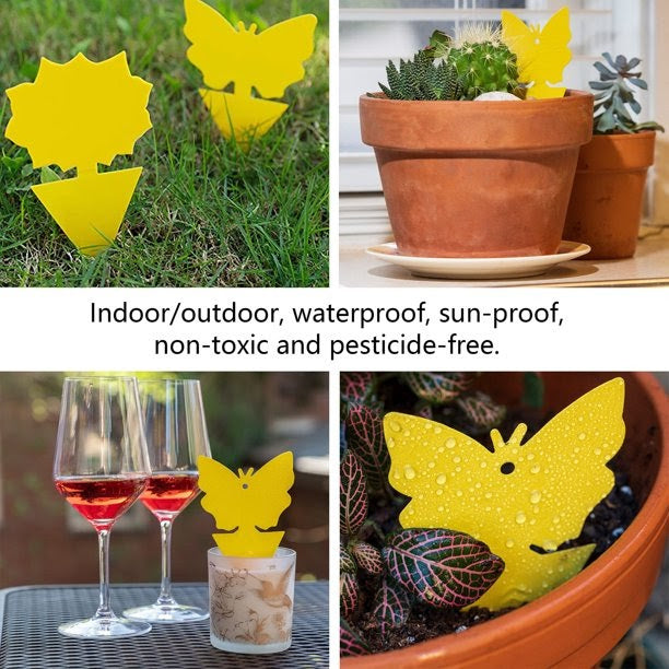 DB 18/48 Pack Sticky Fruit Fly and Fungus Gnat Killer Trap Non-Toxic Indoor Outdoor Pest Killer for Plant Protection