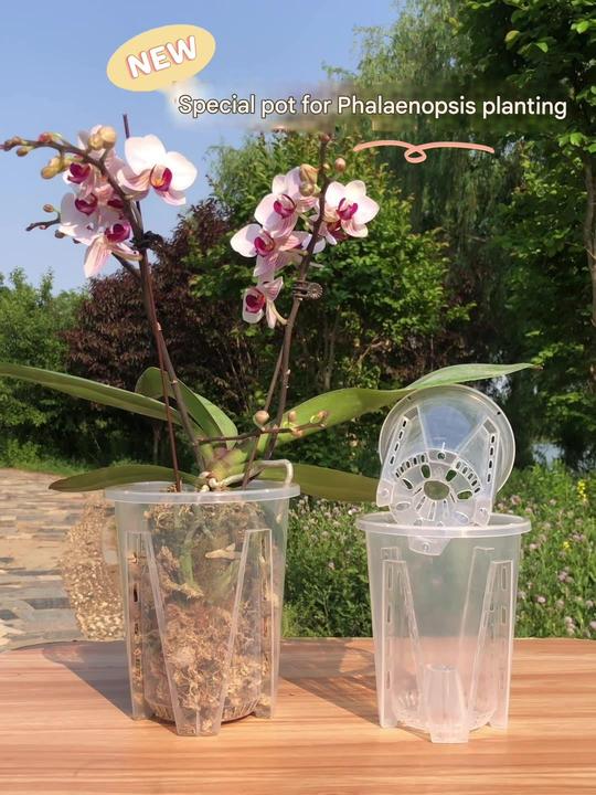 Factory Direct 3.5 4 5.5 7Inch Thick Plastic Clear Transparent Round Phalaenopsis Orchids Breath Slit Garden Plant Orchid Pot