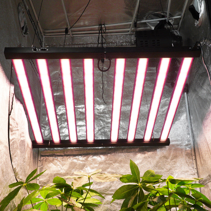 720W 1000W LED Grow Lights Full Spectrum High-Yield System Best Grow Lights for Indoor Plants Commercial Hydroponic Farms
