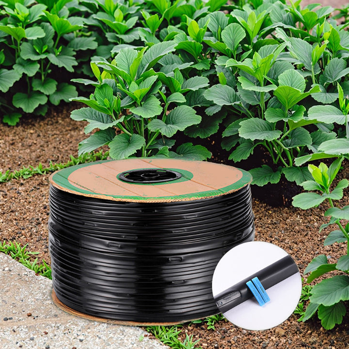 The Agricultural Drip Irrigation System Irrigates 10 Hectares of the Farm
