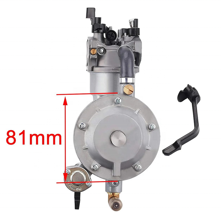 GX160 GX200 Dual Fuel Carburetor Gasoline/LPG Conversion Kit 2KW 2.8KW 3KW 168F 170F Generator Engine