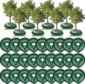 PVC Tree Watering Bag/Ring with Deep Root & Low-Profile Slow Release for Planted Multi-Trunk or Evergreen Trees
