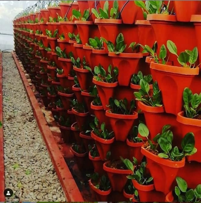 Plastic Flower Pot Vertical Tower Garden System for Vegetables