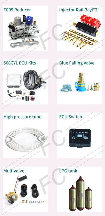 FC LPG Conversion Kit for 6-Cylinder Cars Complete Gas System for Trucks & SUVs (CE Certified)